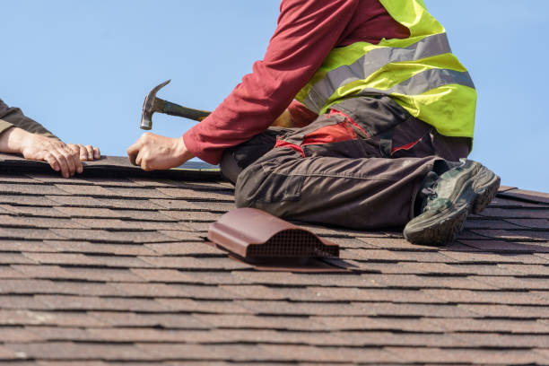 Best Roof Gutter Cleaning  in Brewerton, NY